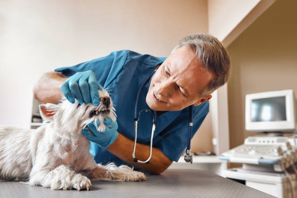 Best Emergency Root Canal Treatment in Inkster, MI